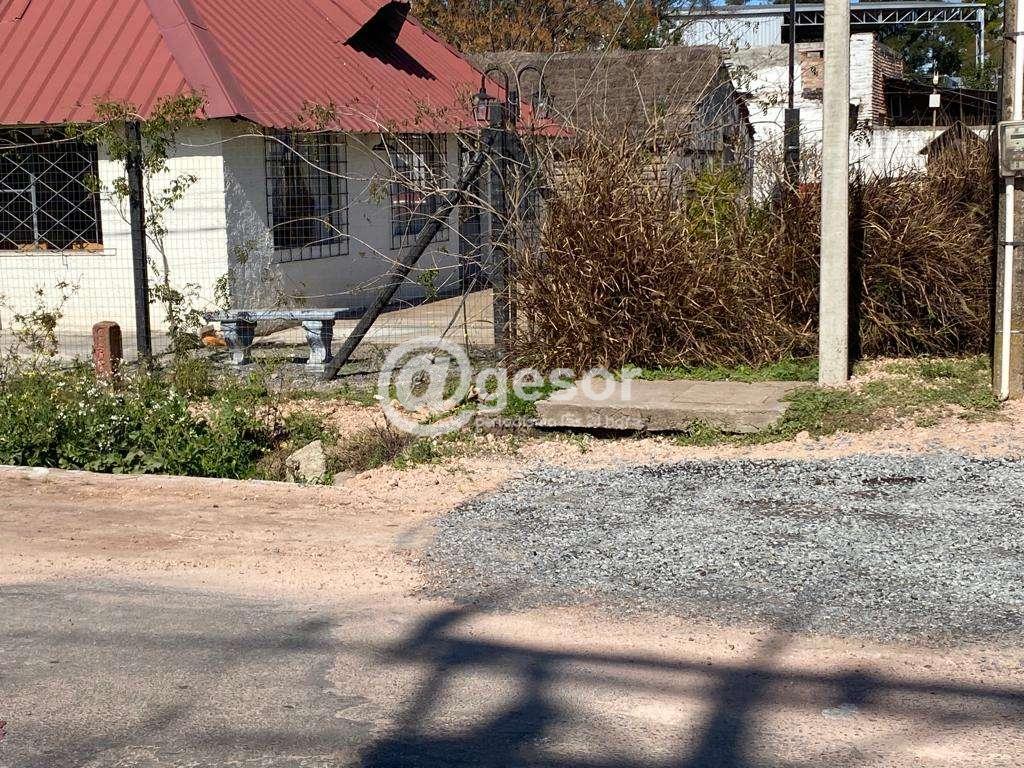 Image6